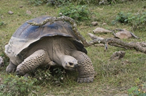 Central America, Ecuador