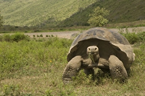 Central America, Ecuador