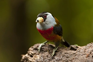 Central America, Ecuador