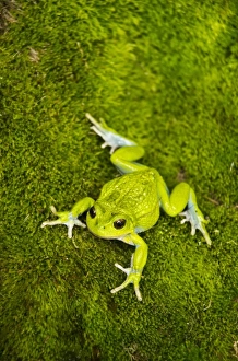 Central America, Ecuador