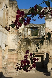 Images Dated 29th January 2008: Central America, Guatemala