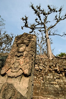 Images Dated 13th April 2005: Central America, Honduras