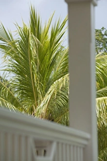 Images Dated 18th February 2011: Central America, Honduras