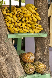Images Dated 27th April 2010: Central America, Honduras, Roatan, West End Village, fruit, bananas and pineapple