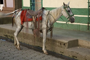 Images Dated 5th November 2008: Central America, Nicaragua