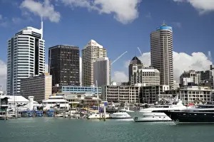 Office Block Prints: Central Business District, Viaduct Basin and Superyachts