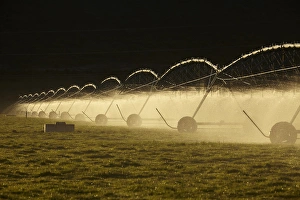 Images Dated 11th October 2017: Centre pivot irrigation, near Twizel, Mackenzie District, South Canterbury, South Island