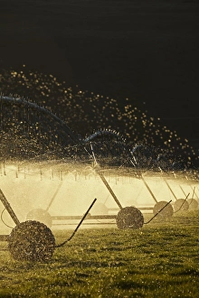 Growing Prints: Centre pivot irrigation, near Twizel, Mackenzie District, South Canterbury, South Island