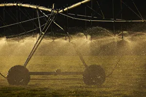 Australia Prints: Centre pivot irrigation, near Twizel, Mackenzie District, South Canterbury, South Island