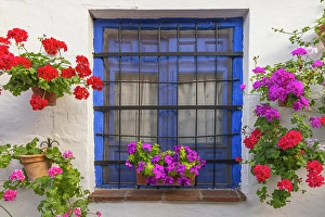 Andalusia Prints: Centro District, Cordoba, Cordoba Province