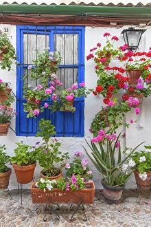 Andalusia Prints: Centro District, Cordoba, Cordoba Province
