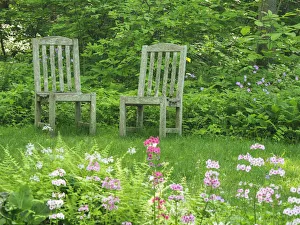 Chairs in a garden of wildflowers