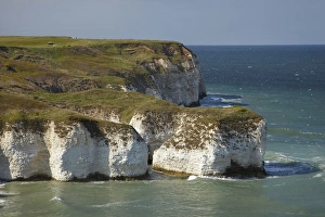 Images Dated 14th May 2010: Chalk cliffs by North Landing, Flamborough Head, Yorkshire, England, United Kingdom