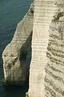 Images Dated 22nd August 2008: Chalk Cliffs and Porte d Aval arch, Etretat, Normandy, FRANCE