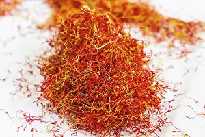 South Asia Prints: Chanda Haro, Pampore, Jammu and Kashmir, India. Pistils from saffron crocus flowers