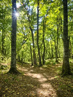 Images Dated 29th September 2015: Changing seasons in Upper Michigan