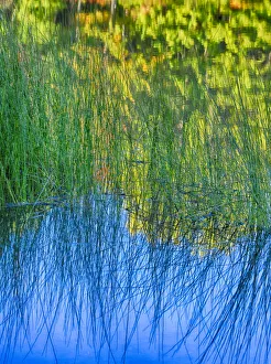 Images Dated 2nd October 2015: Changing seasons in Upper Michigan