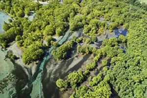 Central Otago Prints: Channels of Clutha River entering Lake Dunstan, Central Otago, South Island, New Zealand