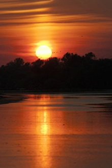 Biosphere Reserve Prints: Channels and lakes during sunset in the Danube Delta, romania. Big willows, alder
