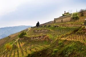 The chapel on top of the hill the Chapelle vineyard.The Hermitage vineyards on the