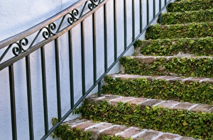 Images Dated 9th April 2010: Charleston, South Carolina, USA. A stairway in the historic district of Charleston
