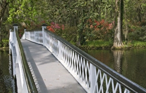 Images Dated 8th April 2010: Charleston, South Carolina, USA. A bridge in Magnolia Gardens