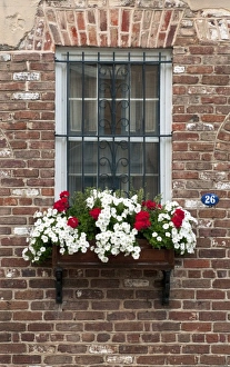 Images Dated 8th April 2010: Charleston, South Carolina, USA. A colorful window box of spring flowers against