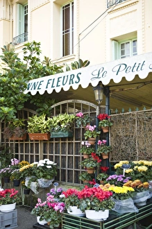 Images Dated 30th October 2006: Charming flower shop. Beaulieu sur Mer. on the coastline in the South of France