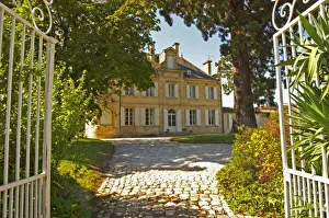 Drive Way Prints: Chateau Cos Labory