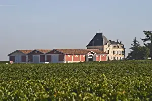 Cultivate Prints: Chateau Evangile with vineyard and winery in Pomerol, Bordeaux