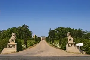 Lincoln Peak Prints: Chateau Haut Sarpe with two lion stone statues and a road lined with bushes leading up to the gate
