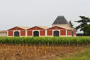 Bucolic Prints: Chateau l Evangile with its distinctive red winery building Pomerol Bordeaux