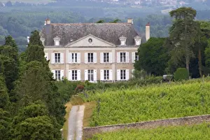 Images Dated 11th August 2015: The Chateau de la Coulee de Serrant