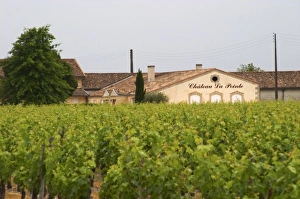 Images Dated 29th May 2005: Chateau la Pointe and vineyard Pomerol Bordeaux Gironde Aquitaine France