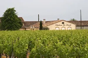 Arable Prints: Chateau la Pointe and vineyard Pomerol Bordeaux Gironde Aquitaine France