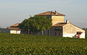 Cultivate Prints: Chateau Lafleur and vineyard, Pomerol, Bordeaux