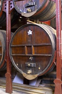 Images Dated 12th December 2006: Chateau de Nouvelles. Fitou. Languedoc. Barrel cellar. Wooden fermentation and storage tanks