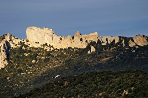Images Dated 12th December 2006: Chateau de Peyrepertuse. Chateau de Peyrepertuse. Hilltop Cathar fortification. Les Pays