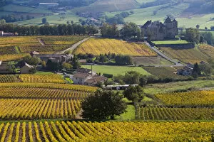 Chateau of Pierreclos and vineyards in autumn, Soane et Loire, Burgundy, France