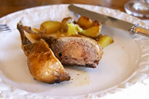 Images Dated 11th December 2006: Chateau Rives-Blanques. Limoux. Languedoc. Roast grilled quail stuffed with foie