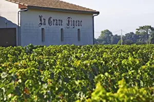 Bunch Prints: The chateau, vineyard and winery La Grave Figeac is just between Cheval Blanc