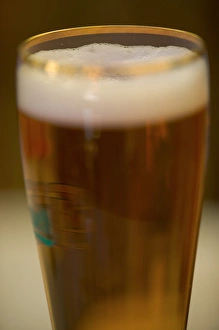 Images Dated 4th May 2004: Chech beer, Czech Republic, prague