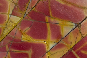 Images Dated 19th December 2012: Cherry Creek Jasper, China