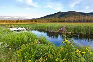 Wetlands Prints: Cherry Mountain and the distant Presidential Range as seen from Pondicherry National