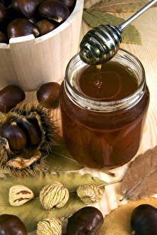 Images Dated 11th July 2012: Chestnut (Castanea sativa) honey in jar
