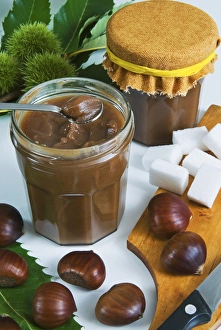 Seed Prints: Chestnut (Castanea sativa) jam in jar