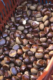 Images Dated 19th November 2005: Chestnuts for sale at a market stall at the market in Bergerac in a red and grey plastic basket