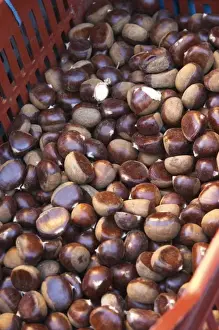 Outdoor Market Prints: Chestnuts for sale at a market stall at the market in Bergerac in a red and grey plastic basket