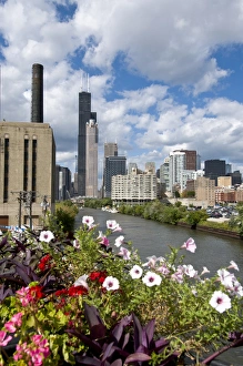 Chicago skyline and river looking north