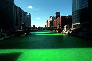 Chicagos large Irish community celebrates St. Patricks Day with a parade
